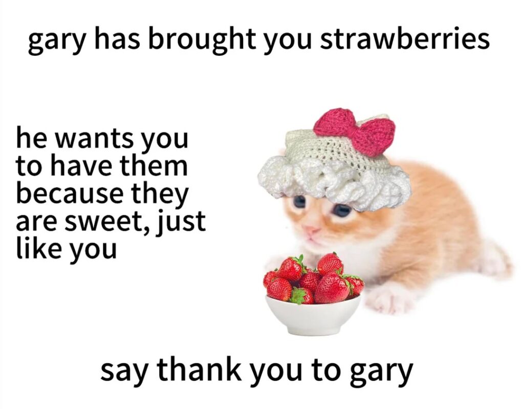 Cute orange kitten with cupcake hat and strawberries, cheerful and playful.