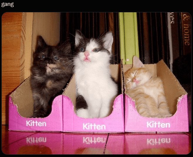 Cute kittens in pink boxes, exploring, relaxing, and showcasing playful and adorable feline personalities.