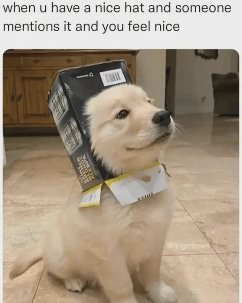 Cute golden retriever puppy wearing a cardboard box lid hat on shiny tiled floor.