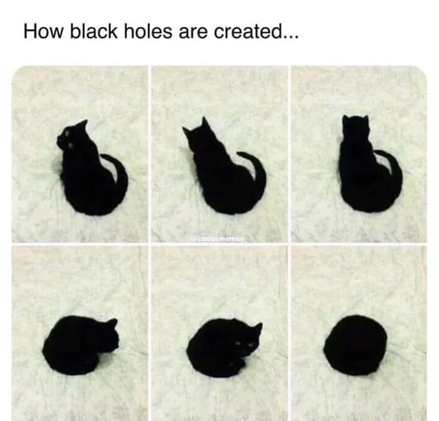 Humorous black cat transforms into a black hole through playful, curling poses in a six-photo sequence.