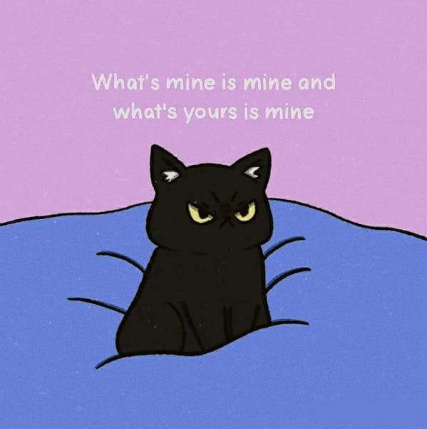 Cute black cat with possessive attitude and humorous quote on playful purple background.
