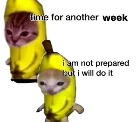 Funny cats in banana costumes expressing weekly motivation and reluctance humor.