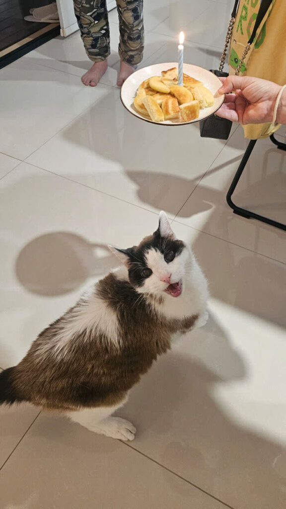 Happy birthday celebration with a curious cat, pastries, and family in a cozy, festive home.