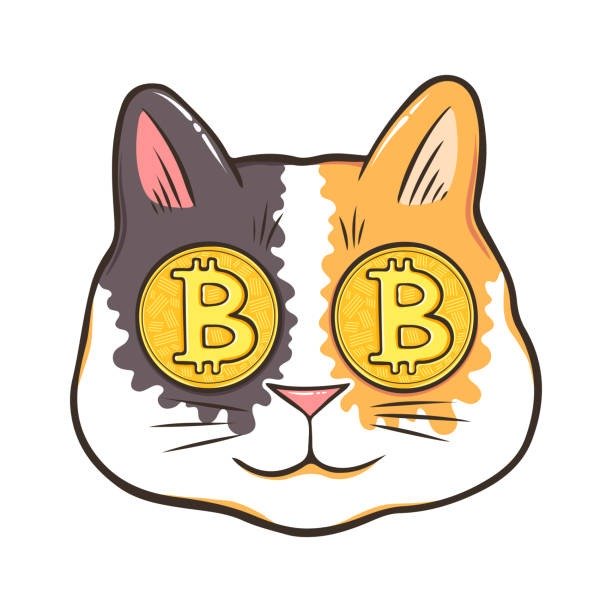 Whimsical cat with Bitcoin coin eyes, colorful fur, and playful cryptocurrency-themed illustration.