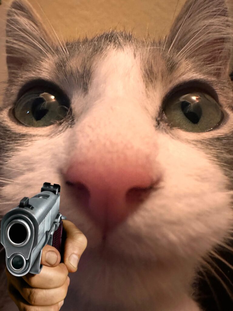 Funny surreal cat photo with human hand holding a gun and striking green eyes.