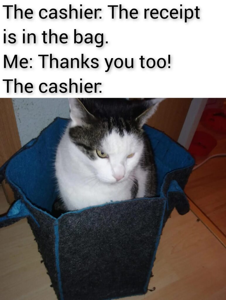 Funny cat in felt bag with humorous checkout receipt conversation.