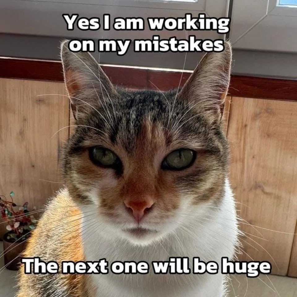Cute cat with green eyes, playful expression, and humorous fixing my mistakes caption.