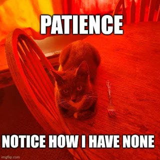 Humorous cat sitting at a wooden table with frustrated expression and No Patience caption.