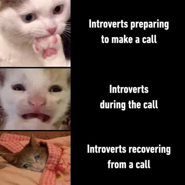 Humorous cat comic about introverts nervousness, distress, and relaxation during phone calls.