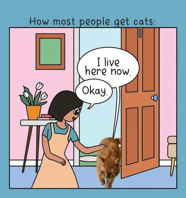 Cute cartoon of a cat claiming a home, funny cat owner humor in a cozy room.