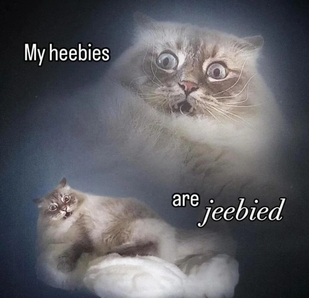 Funny shocked cat meme with wide eyes and surprised expression, captioned My heebies are jeebied.