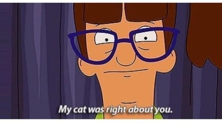Animated character with glasses and humorous expression, referencing My cat was right about you.