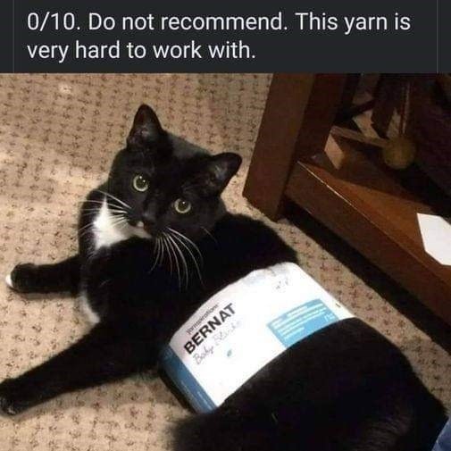 Cute black cat with yarn packaging and humorous DIY craft review.