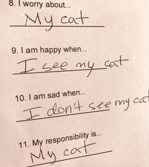 Childs worksheet showing pet feelings and responsibilities related to caring for a beloved cat.