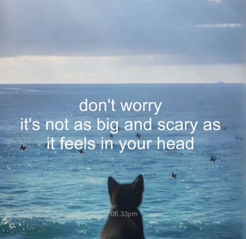Serene coastal scene with a dog, calm ocean, and uplifting message about overcoming fears.