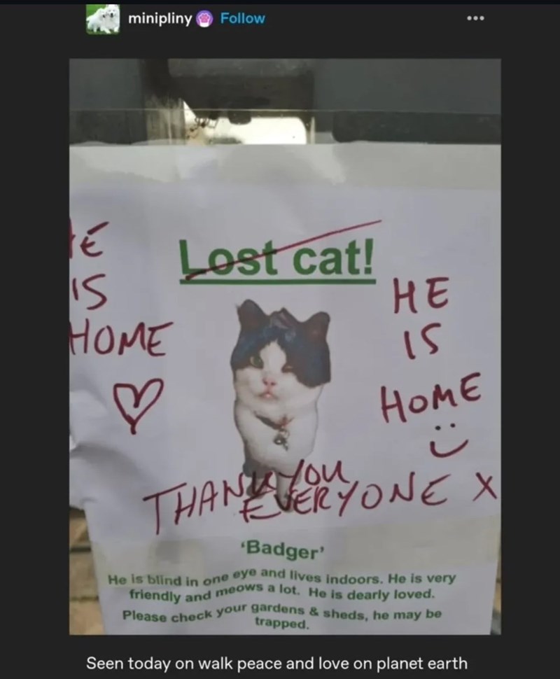 Lost cat Badger found, community notice with photo, gratitude, and safety reminder.