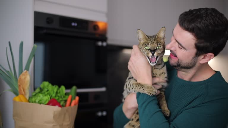 29 Lovely Cats for Tue, Jul 29