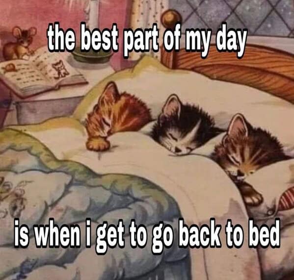 Adorable kittens sleeping under a cozy blanket in a warm, relaxing bedroom setting.