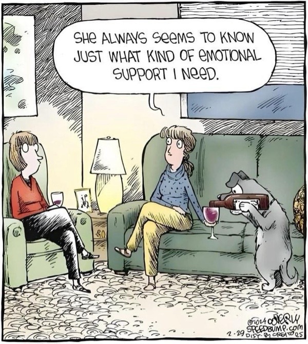 Cozy living room with friends, emotional support, and a playful dog holding a wine bottle.