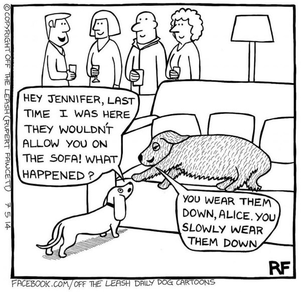 Humorous cartoon of dogs and friends enjoying a cozy, pet-friendly living room gathering.