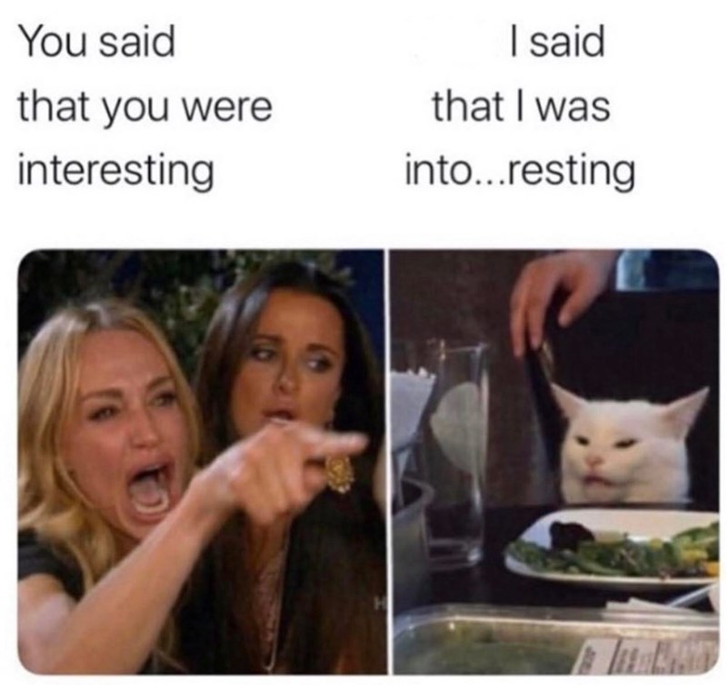 Humorous contrast between angry woman shouting and bored cat relaxing at a dinner table.