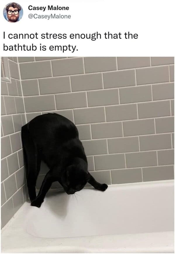 Humorous black cat inspecting an empty bathtub in a modern bathroom.