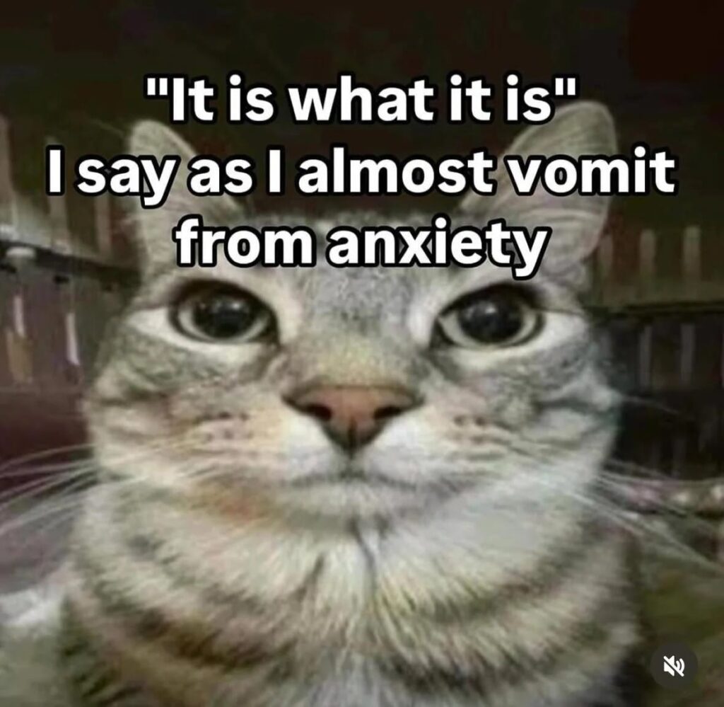 Sad-looking grey striped cat with anxious expression and humorous caption about stress and acceptance.
