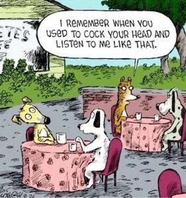 Whimsical cartoon of dogs at outdoor cafe reminiscing over friendship and nostalgic memories.