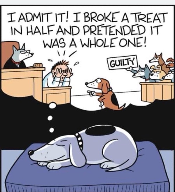 Humorous dog courtroom scene with anthropomorphic dogs, judge, jurors, and a guilty verdict.