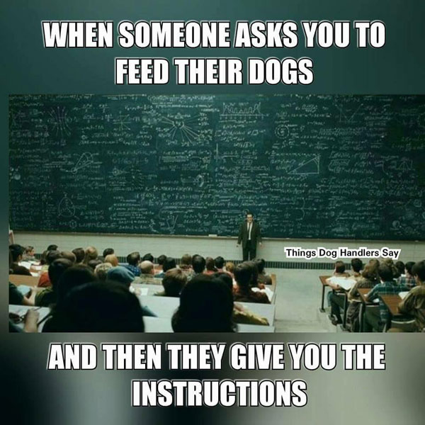 Humor about overly complicated dog feeding instructions resembling a college lecture.