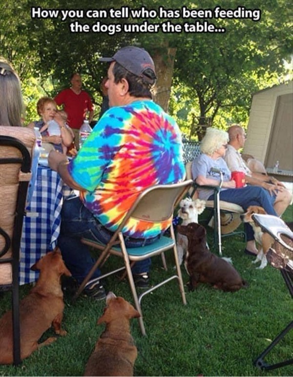 Family outdoor barbecue with dogs, friends, food, and sunny backyard in a lively gathering.