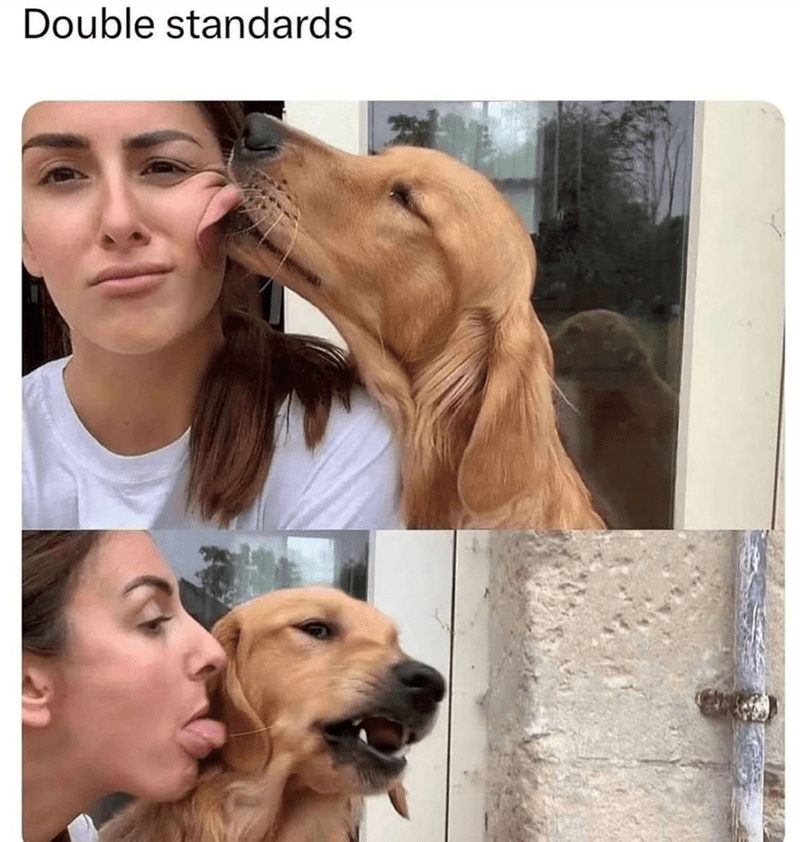Humorous comparison of human-dog double standards in affectionate behavior and social acceptance.