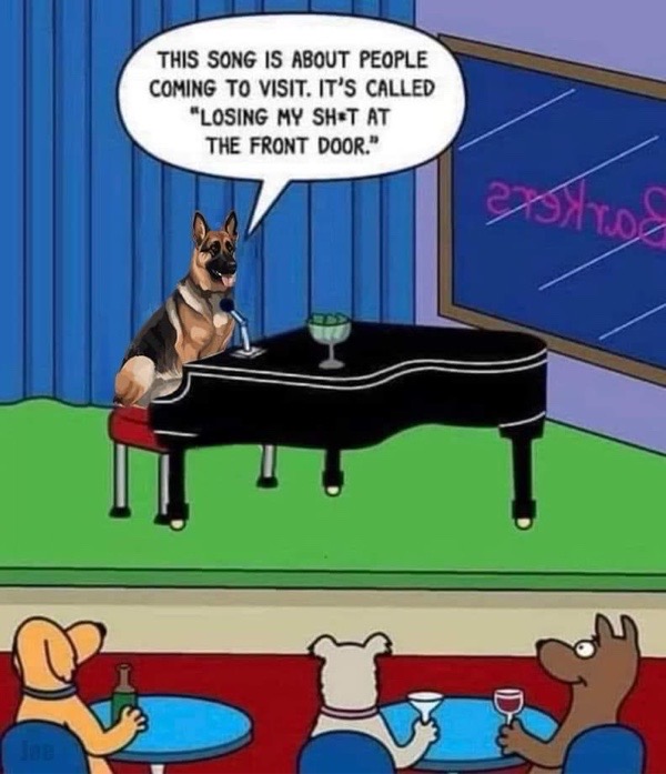 Humorous cartoon of a dog playing piano at a nightclub with dogs audience and funny speech bubble.