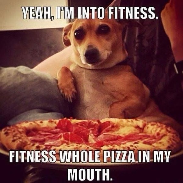 Humorous dog sitting with a pizza, showcasing comedy and love for pizza and pets.