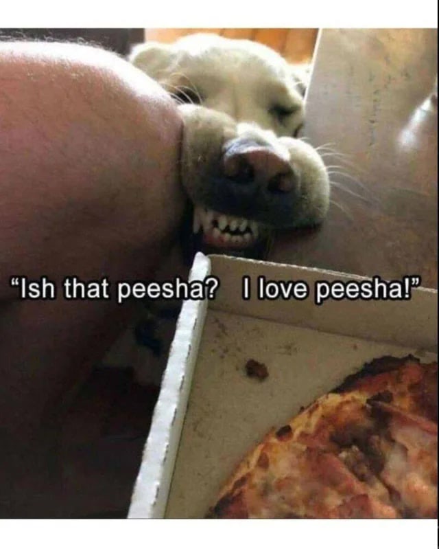 Playful dog eager for pizza, sharing a joyful moment with owner in cozy home setting.