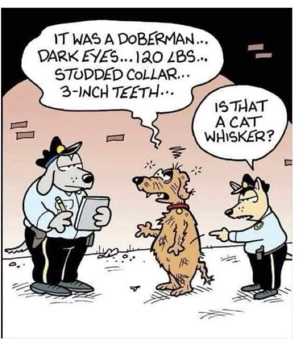 Cartoon of police dogs humorously investigating a fierce Doberman with exaggerated features.