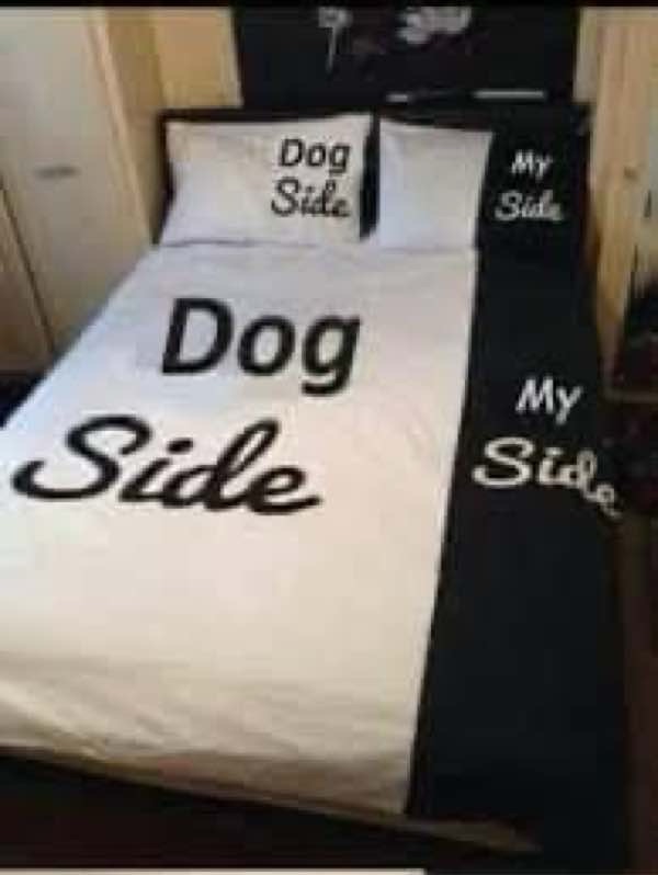 Whimsical pet owner and dog bed with contrasting Dog Side and My Side labels.