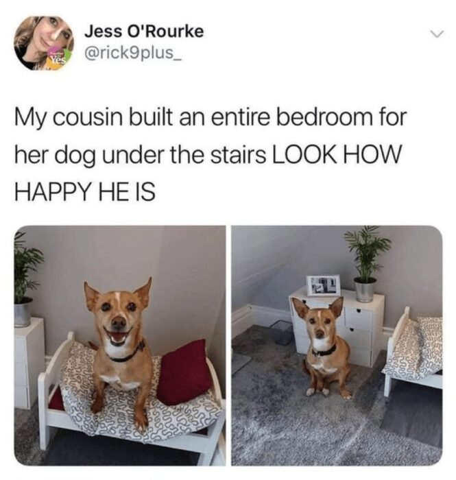 Cute dog enjoying cozy staircase bedroom under stairs, showing love for pet comfort and space-saving design.