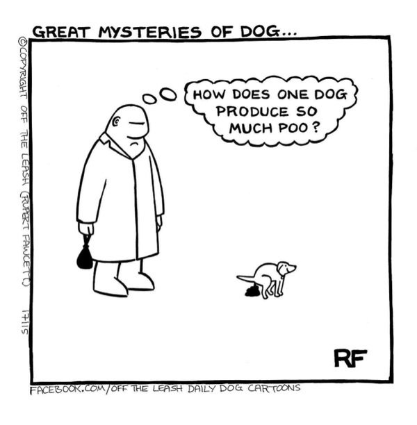 Humorous cartoon of a dog owner pondering how one dog produces so much waste.
