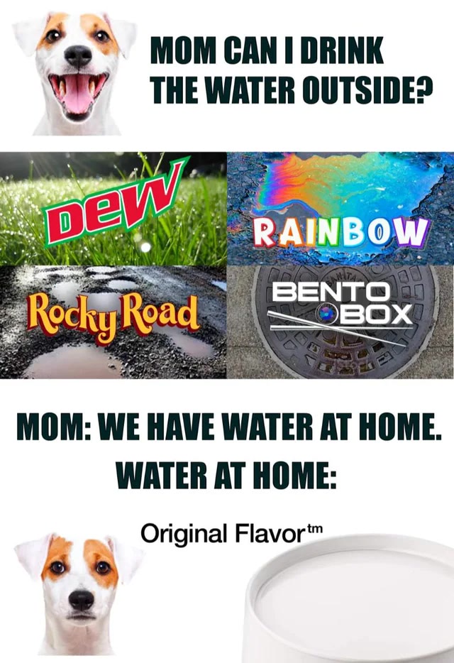 Funny dog asks for outside water, with humorous parental response and colorful outdoor-themed visuals.