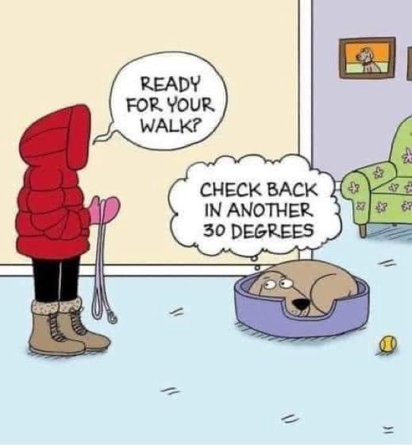 Humorous winter dog walk scene with lazy dog in cozy bed and eager owner asking, “Ready for your walk?”