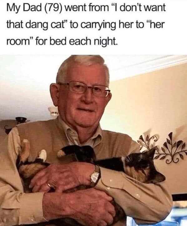 Elderly man lovingly cradling a calico cat at home, showcasing aging, pet care, and companionship.