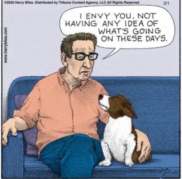 Funny cartoon of a man and dog on a couch with a humorous caption about modern life.