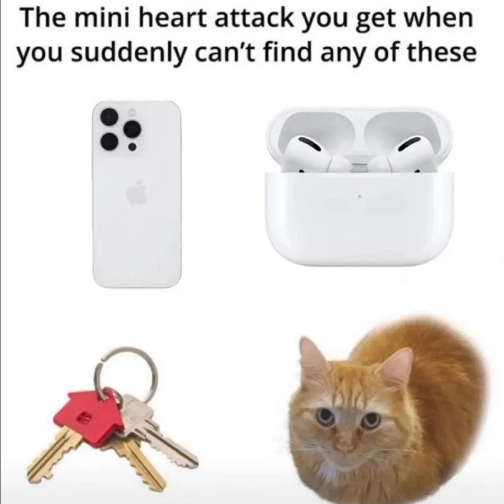 Lost keys, phone, AirPods, and chaos—relatable everyday item panic with a relaxed cat.