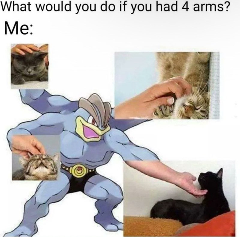 Humorous illustration of having four arms for petting cats and playful Pokémon character.