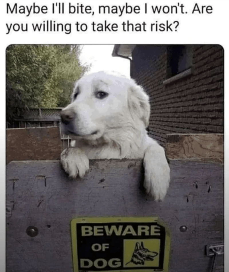 Cute Great Pyrenees dog peeking over fence with Beware of Dog sign, humorous pet safety warning.