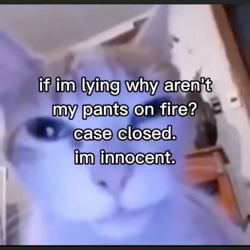 Humorous cat meme with innocent expression and playful text about lying and pants on fire.