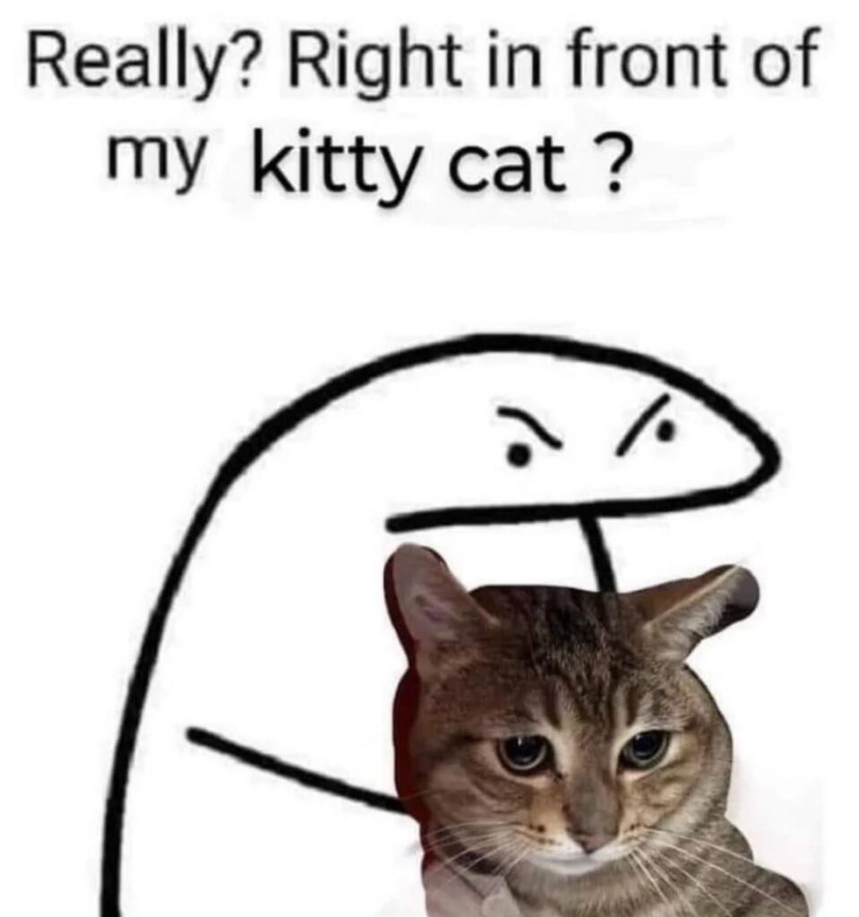 Funny cartoon character reacting protectively to distressed cat in a humorous pet meme.