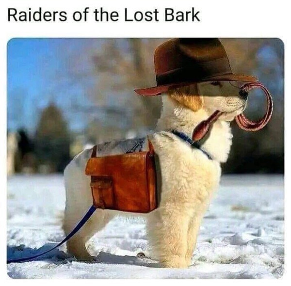 Adorable golden retriever puppy dressed as Indiana Jones in snowy adventure scene.