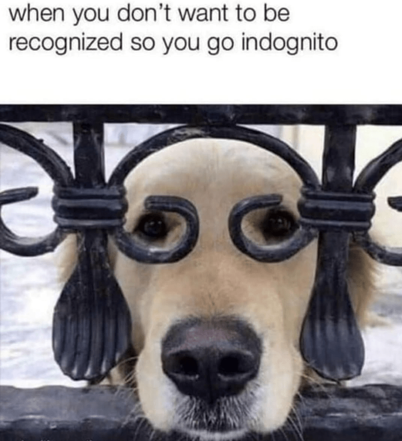 Golden retriever peeking through ornate iron gate with humorous incognito caption.